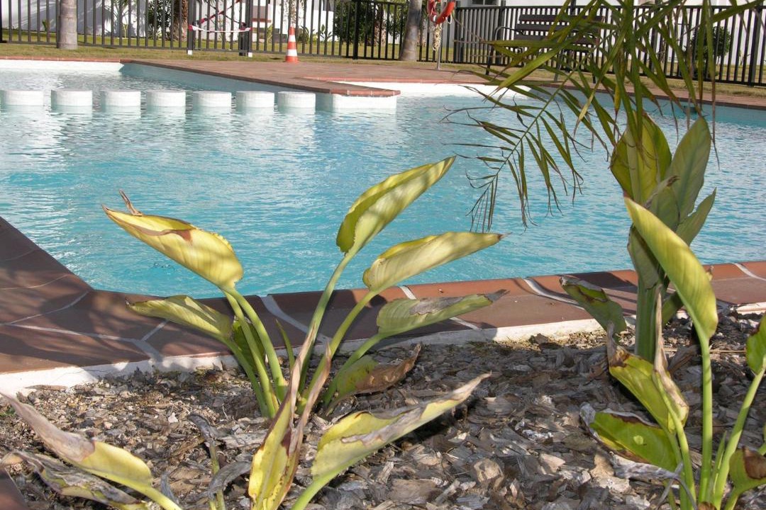 Photo of Outdoor in Torre-Pacheco