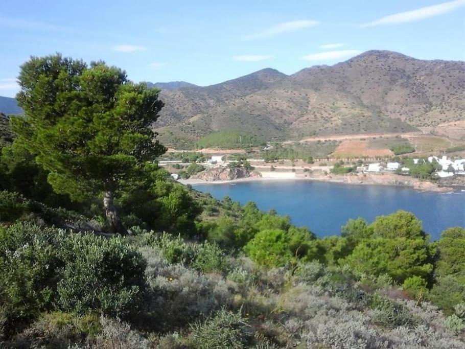 Photo of Outdoor in Colera