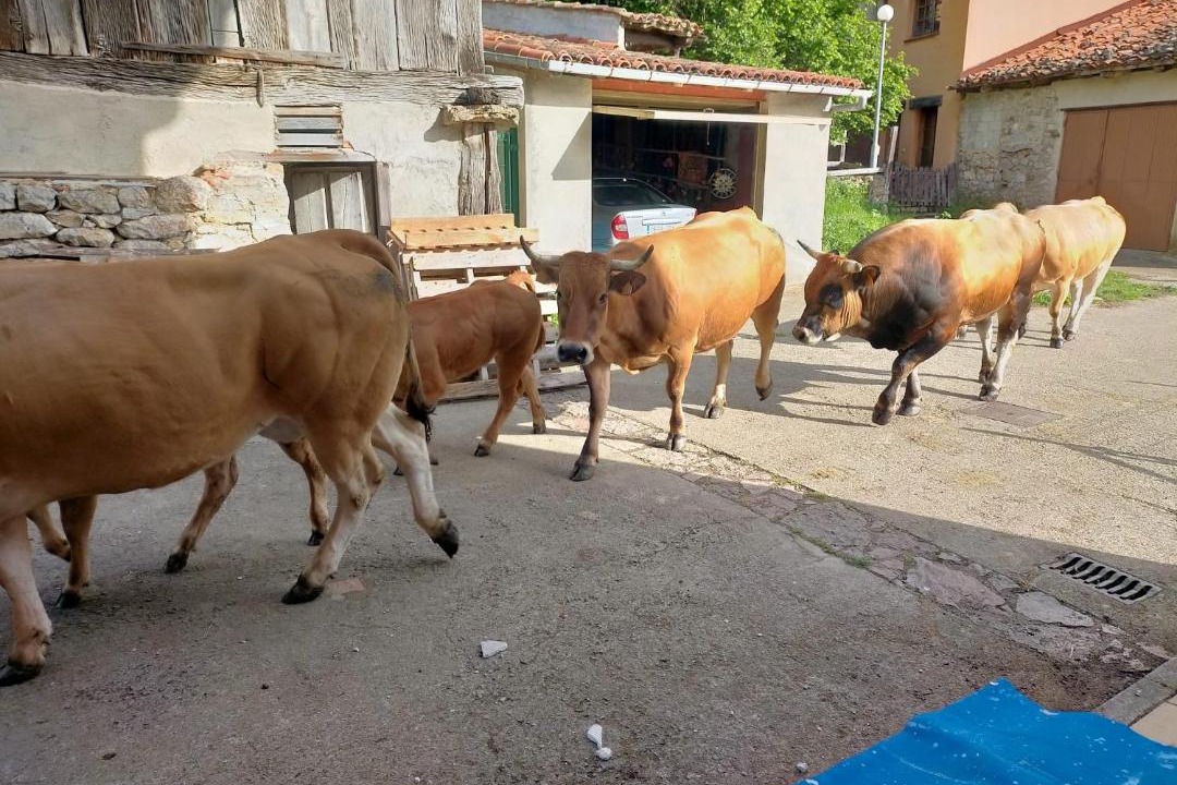 Photo of Others in Riospaso