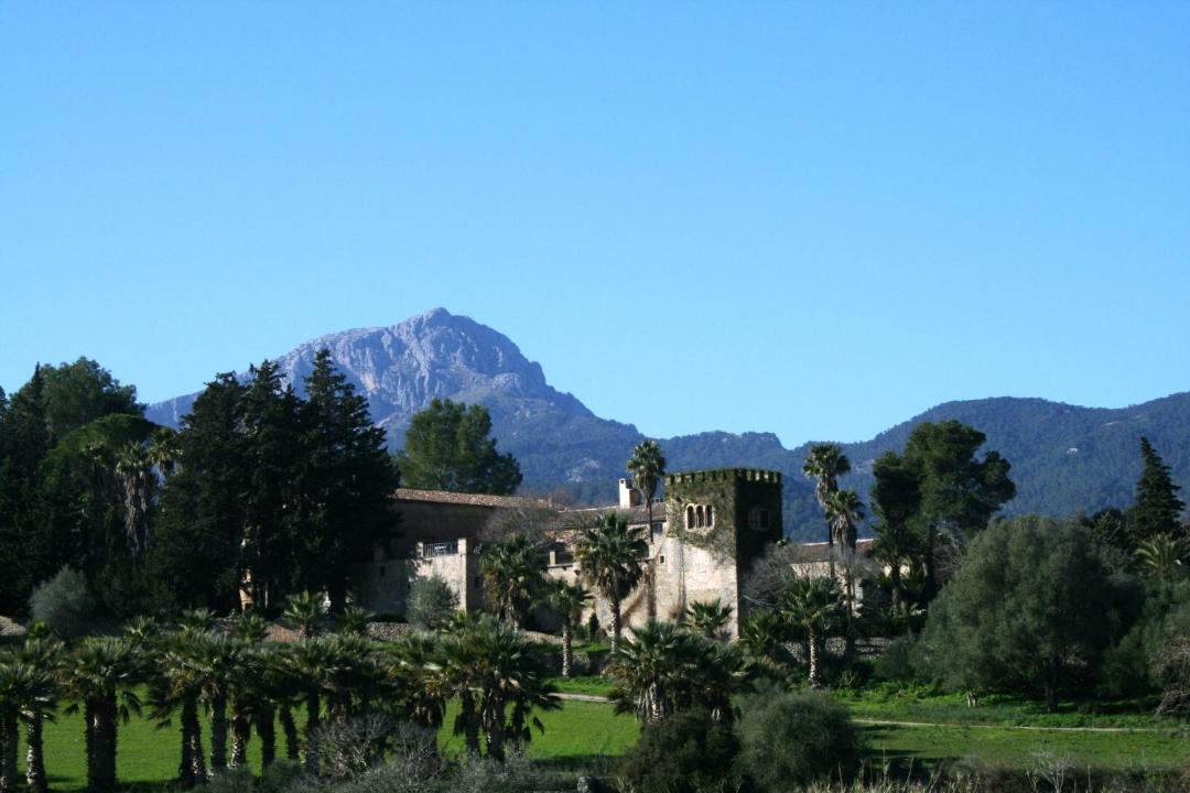 Photo of Others in Puigpunyent