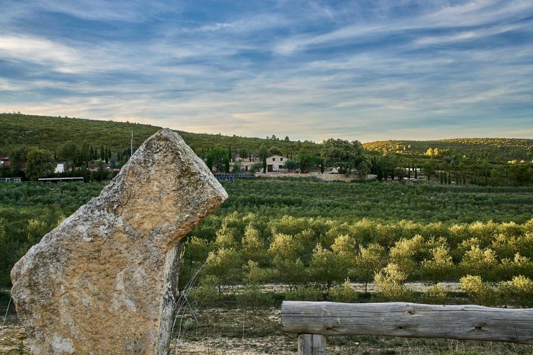 Photo of Others in Enguera