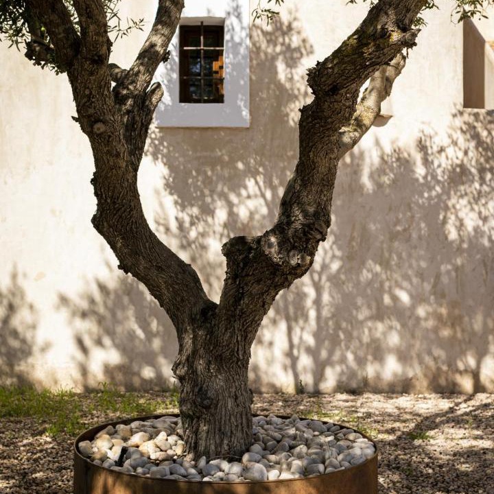 Photo of Others in Sant Francesc Xavier