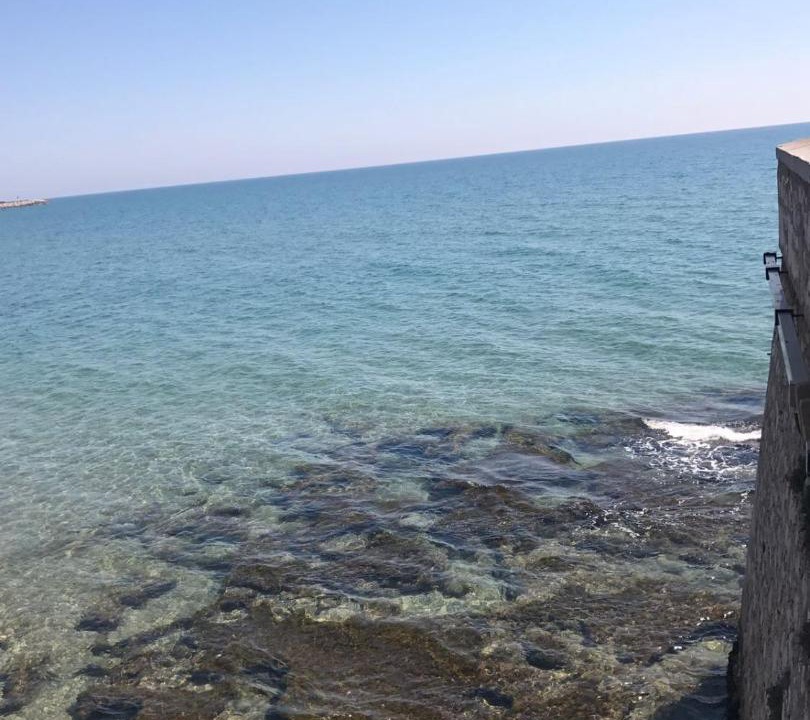 Photo of Others in Olivella