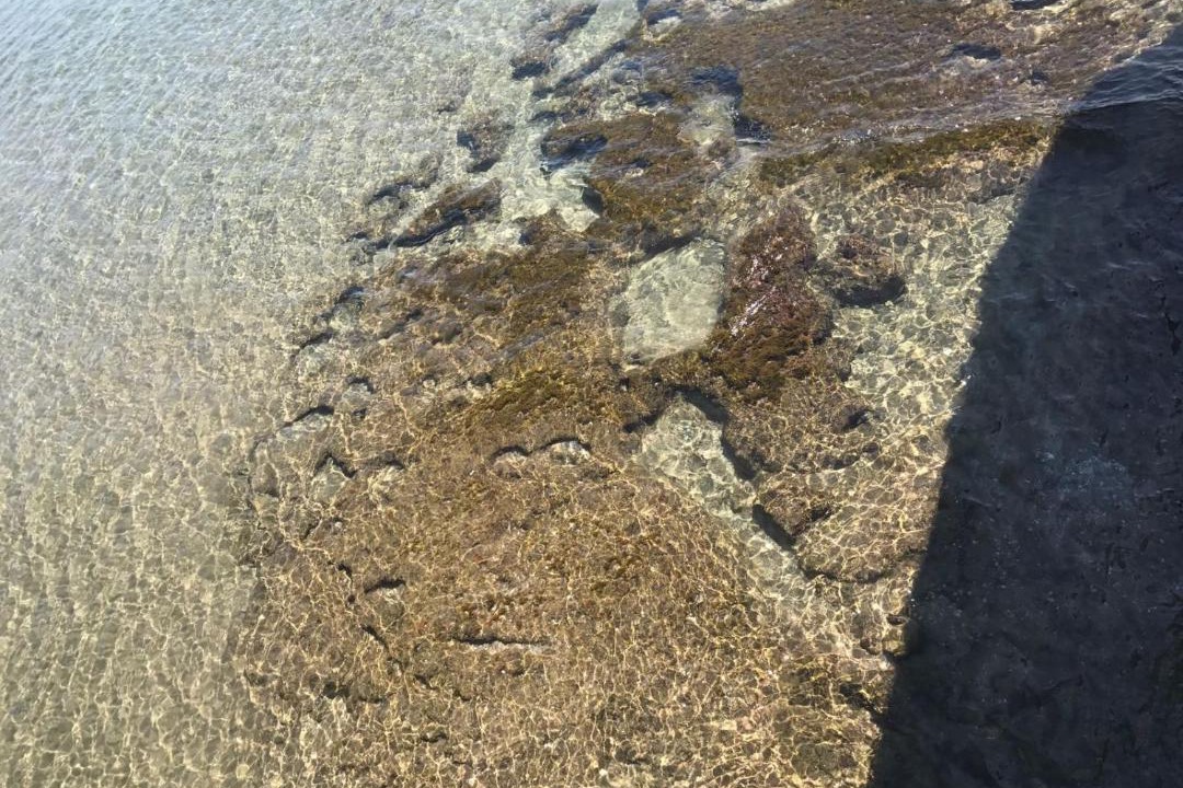 Photo of Others in Olivella