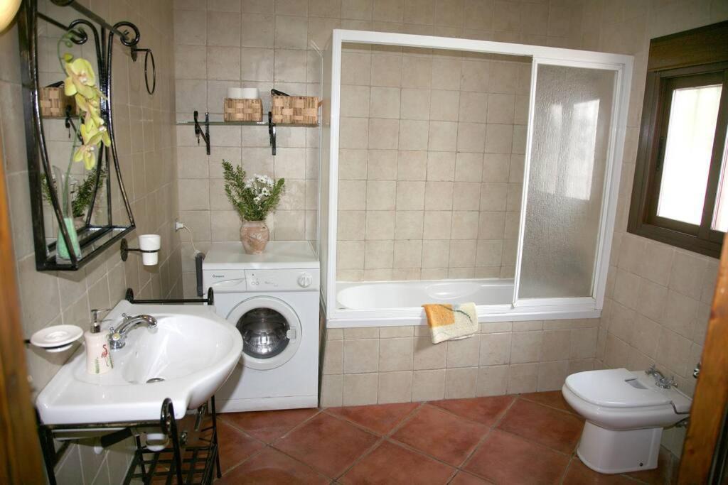 Photo of Bathroom in Pozo Alcon