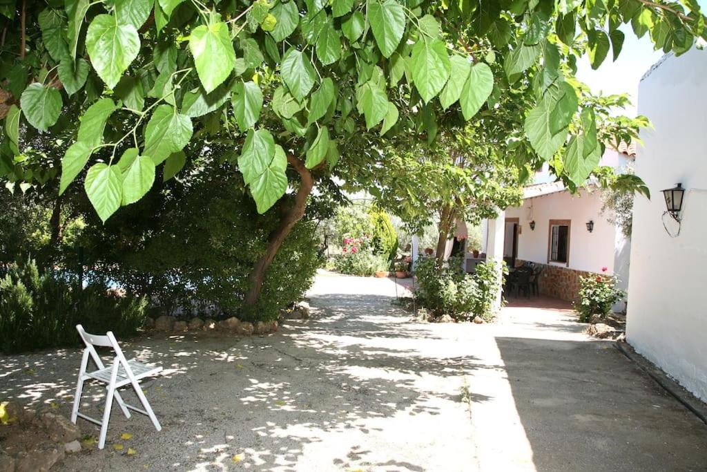 Photo of Others in Pozo Alcon