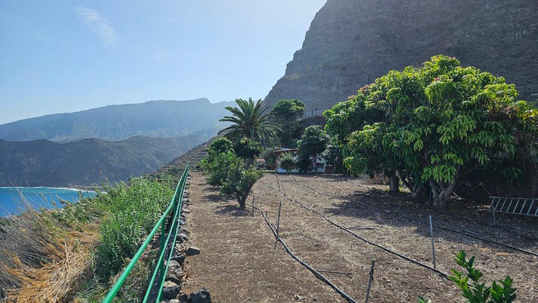 Photo of Others in Agulo