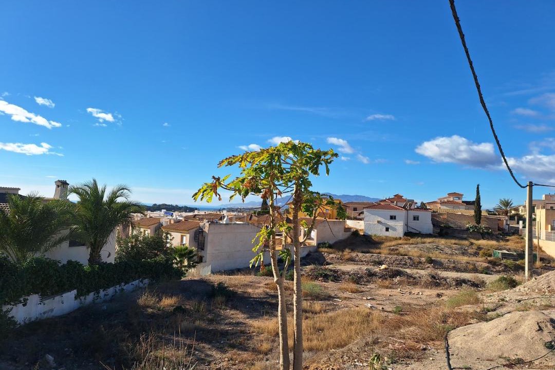 Photo of Others in Palomares