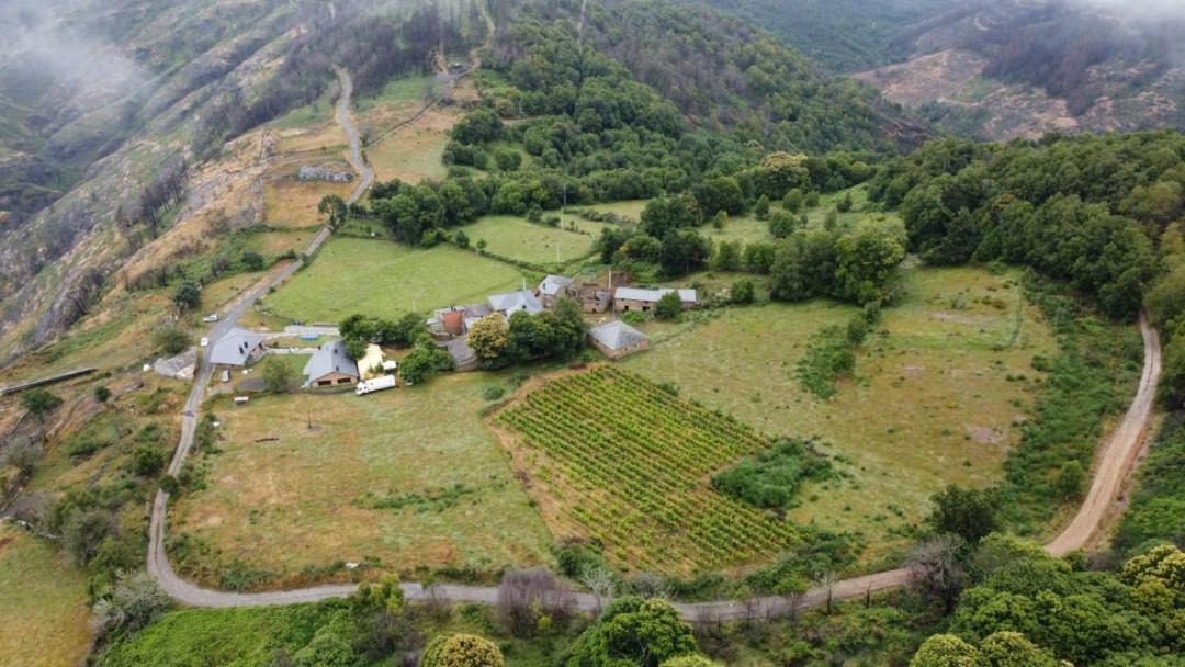 Photo of Others in Eiriz