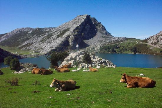 Photo of Others in Soto de Cangas