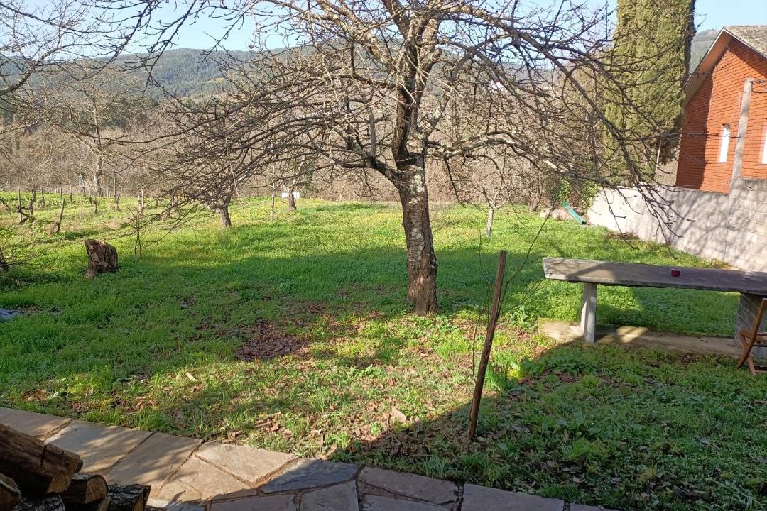 Photo of Others in Quiroga