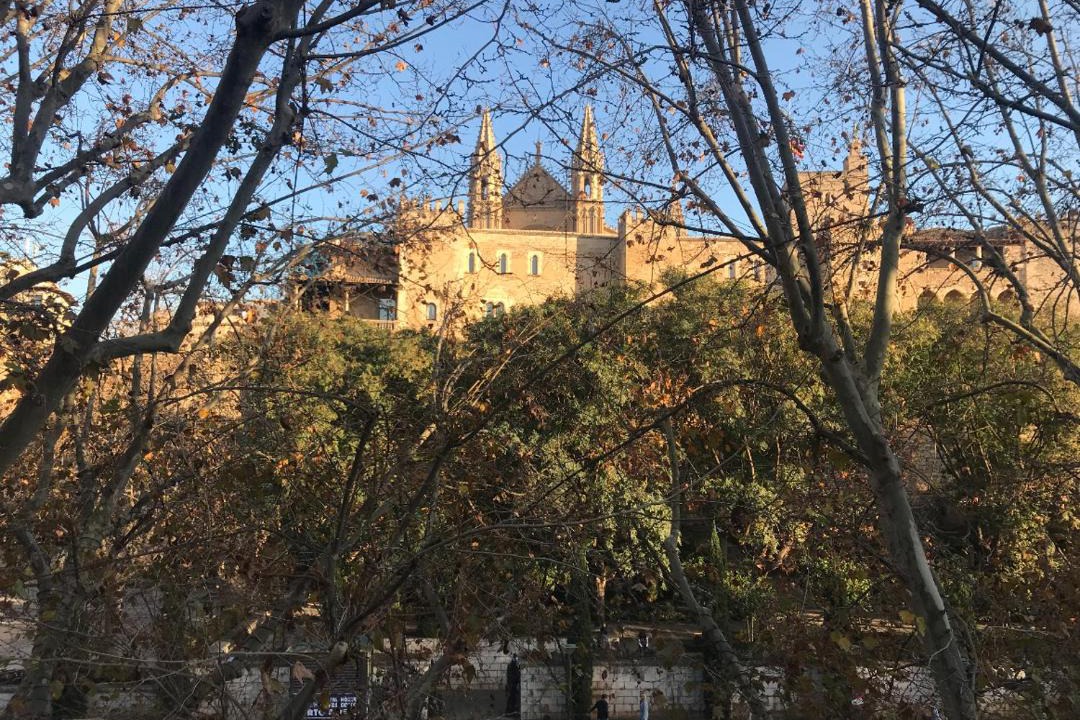Photo of Others in La Llotja-Born