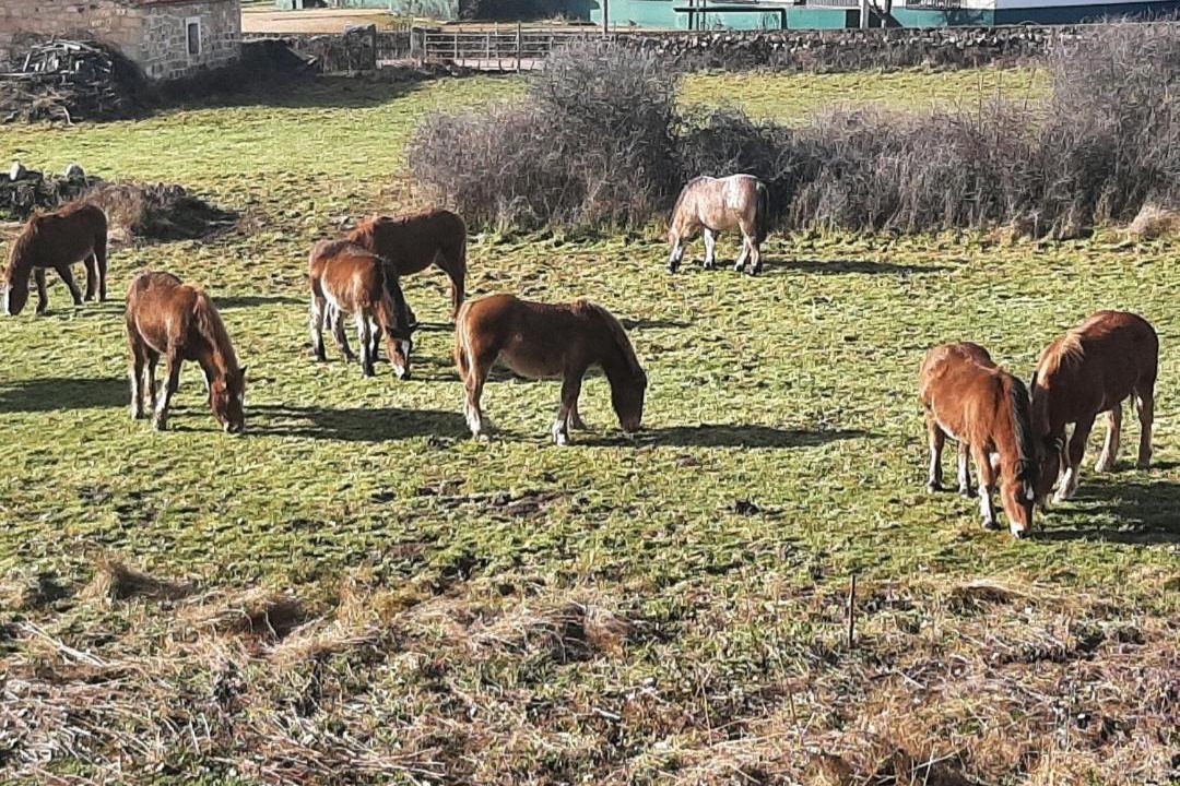 Photo of Others in Sotillo del Rincon