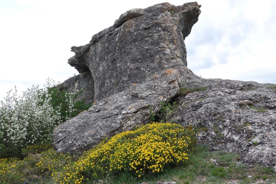 Photo of Others in Cordovilla de Aguilar