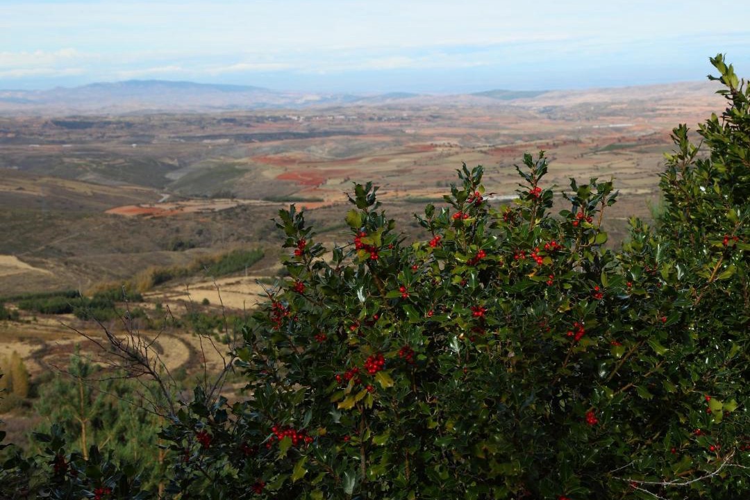 Photo of Others in Agreda