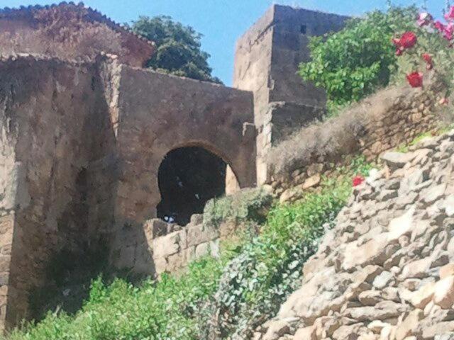 Photo of Others in Agreda