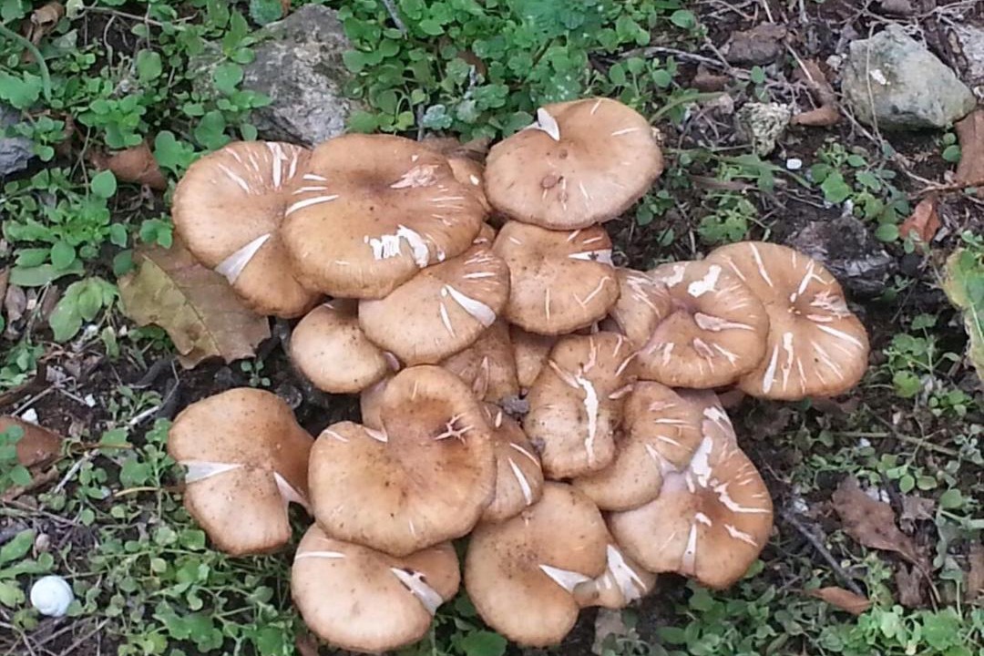 Photo of Outdoor in Agreda