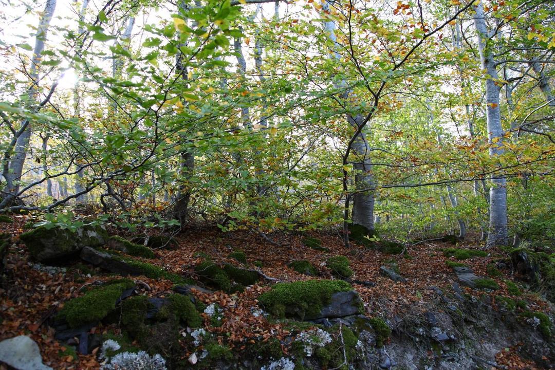 Photo of Others in Agreda