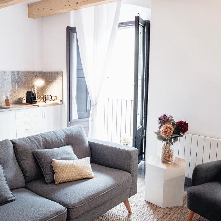 Photo of Livingroom in Banyoles