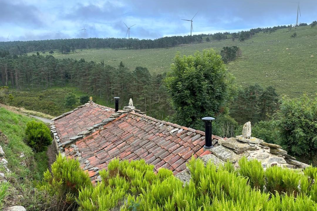Photo of Others in Tineo