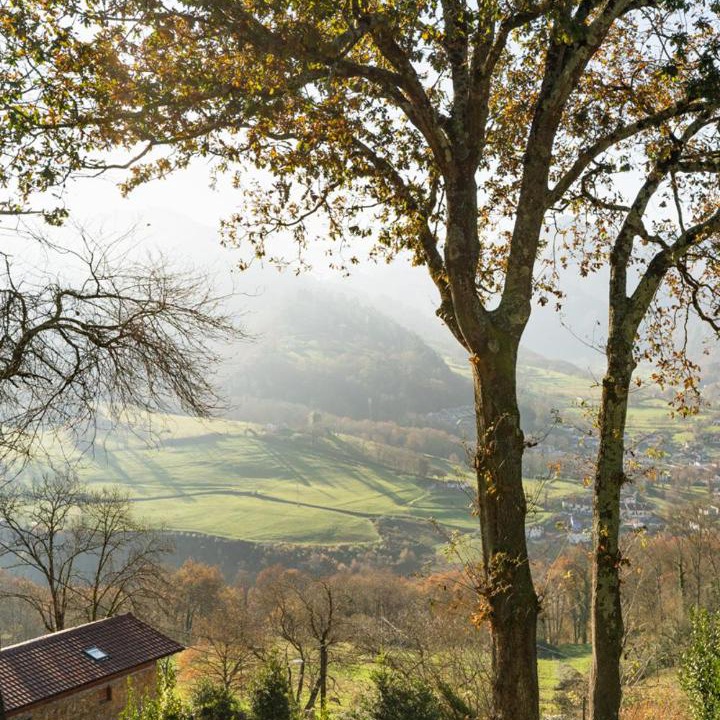 Photo of Outdoor in Cangas de Onis