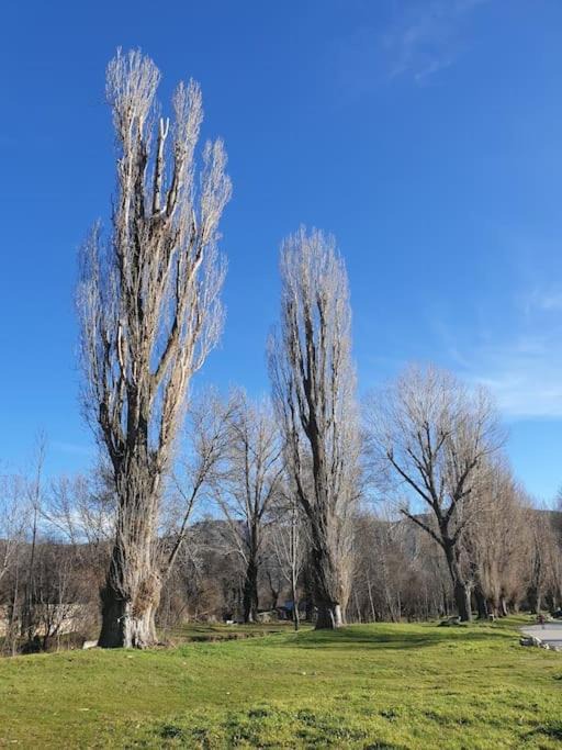 Photo of Others in Alameda del Valle