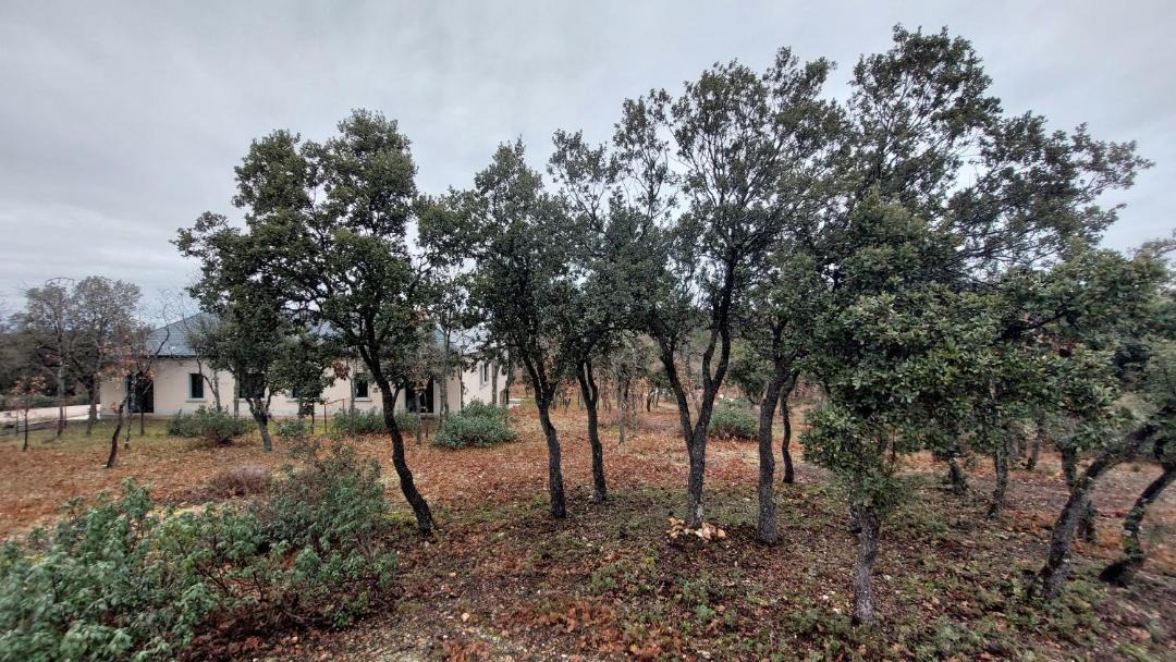 Photo of Others in Castillejo de Mesleon