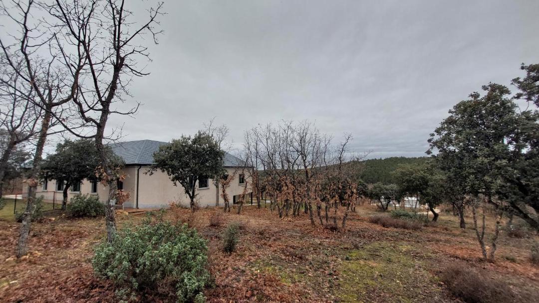 Photo of Others in Castillejo de Mesleon