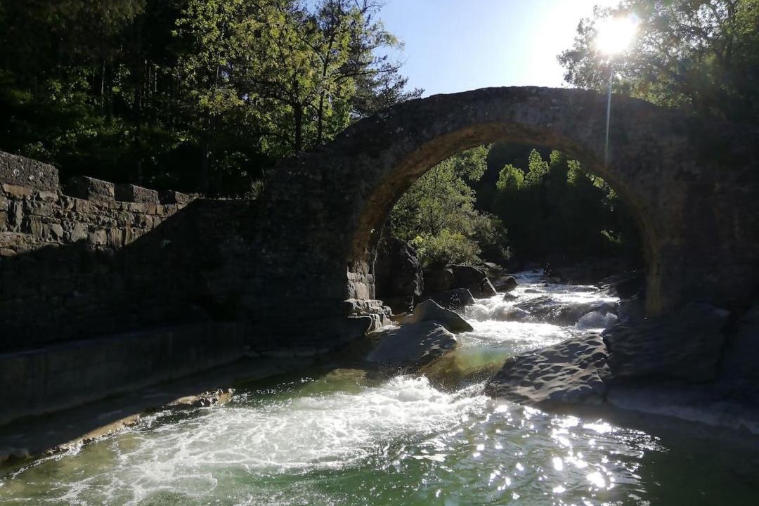 Photo of Others in Sarratillo