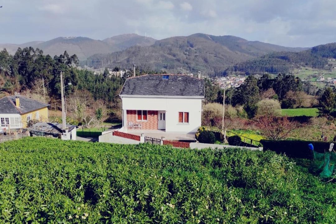 Photo of Others in Viveiro