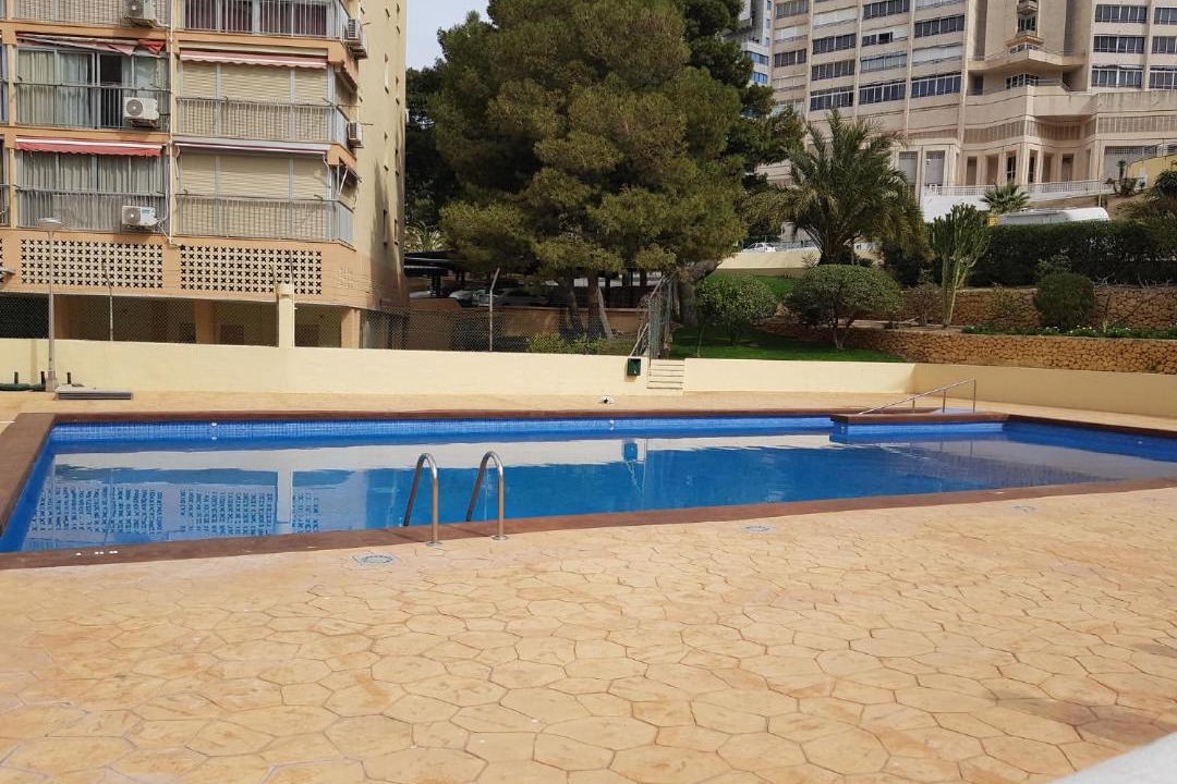 Photo of Others in Benidorm
