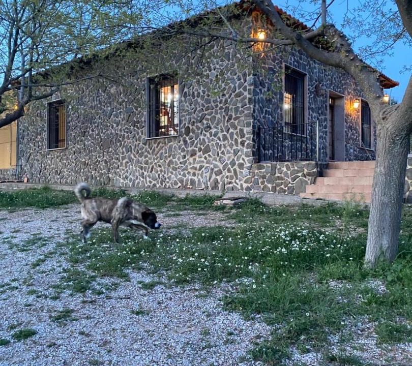 Photo of Buildings in La Solana