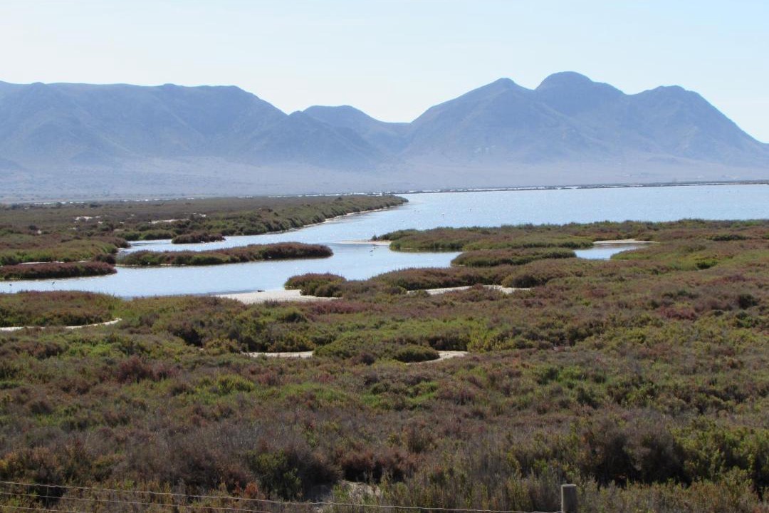 Photo of Others in Cabo de Gata