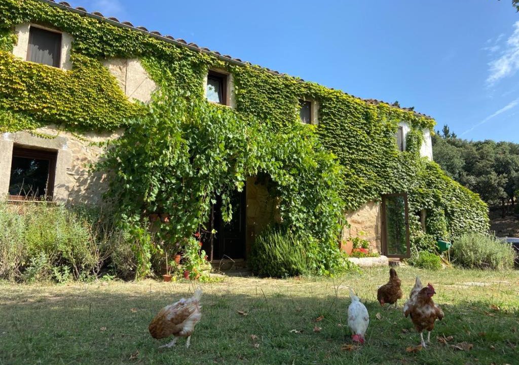Photo of Others in Santa Coloma de Farners