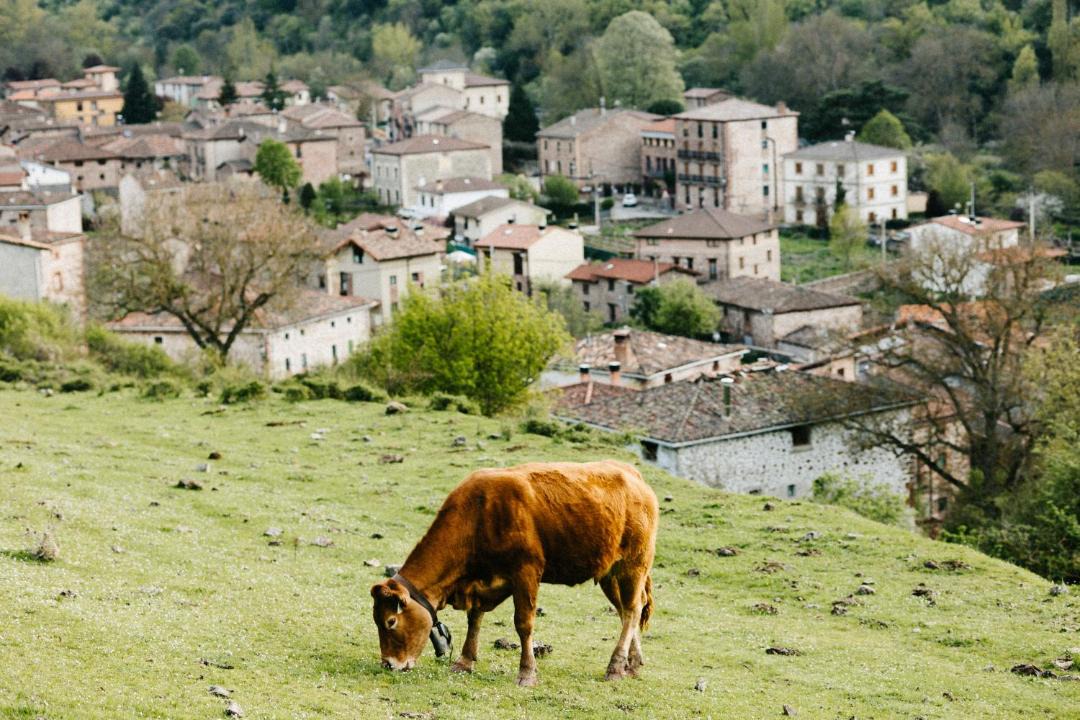Photo of Others in Viniegra de Abajo