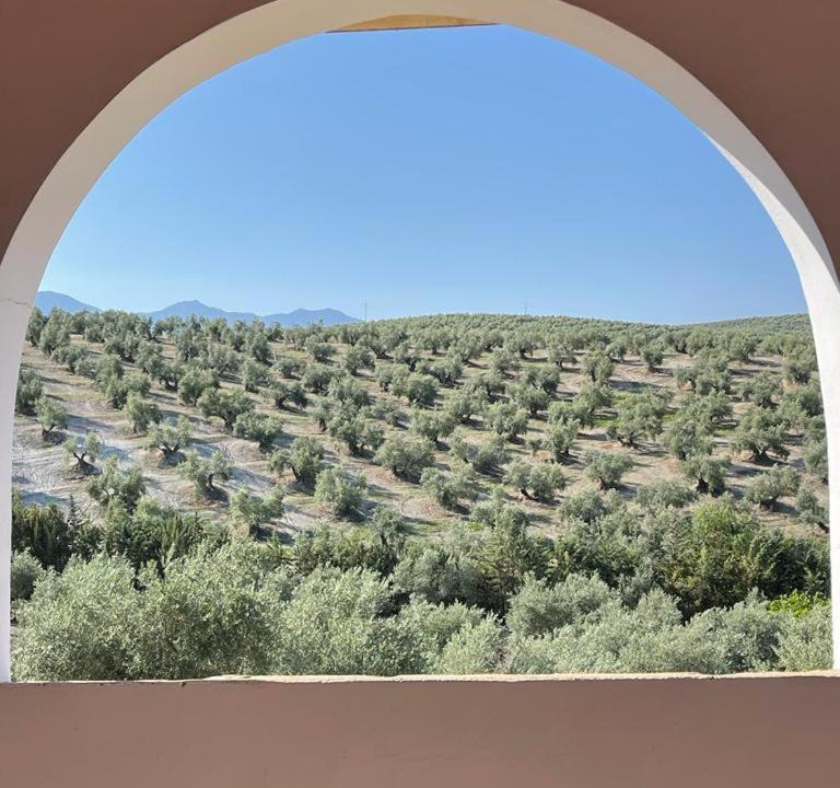 Photo of Others in Cazorla