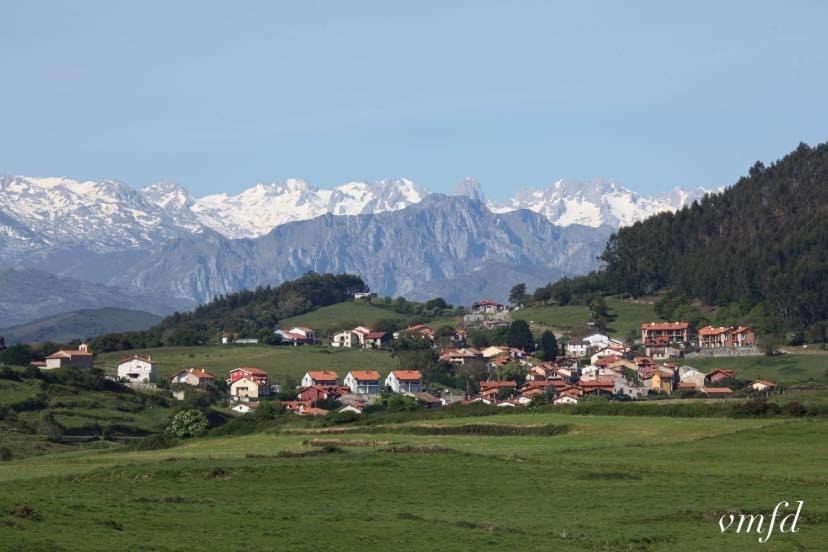 Photo of Others in Prellezo