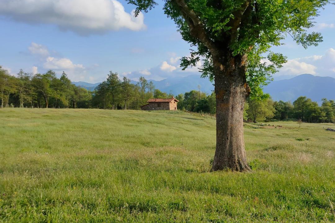Photo of Outdoor in Cahecho