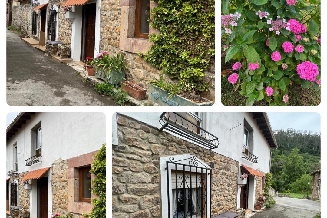 Photo of Buildings in Treceno