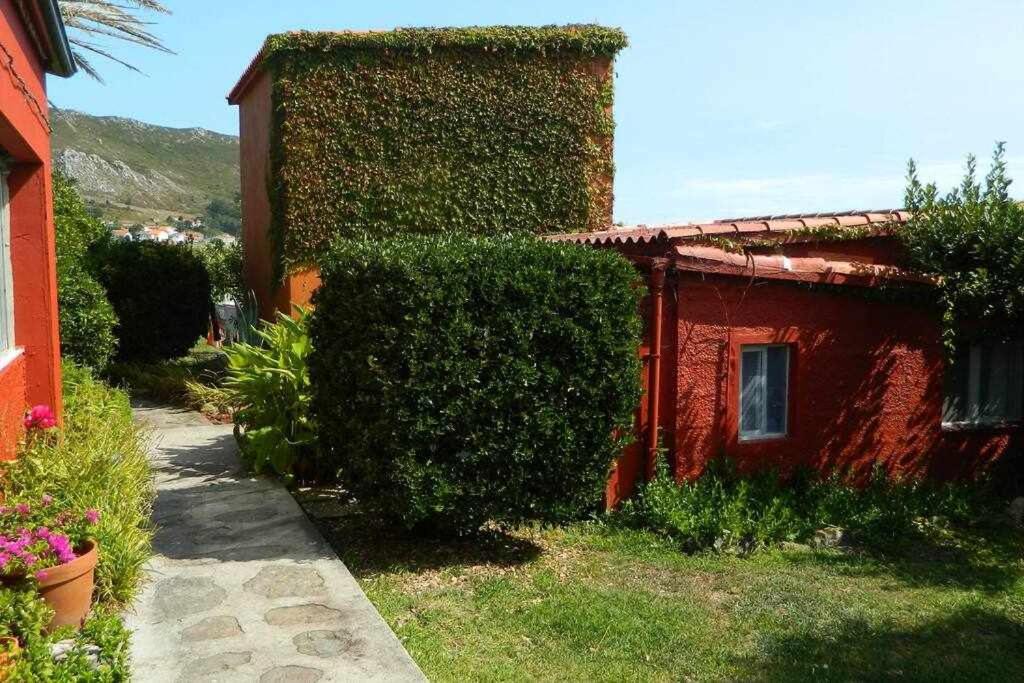 Photo of Buildings in Larino
