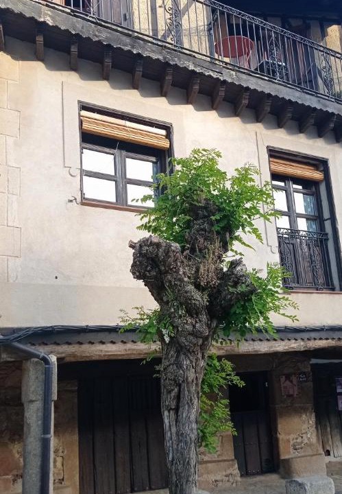 Photo of Others in Villanueva del Conde