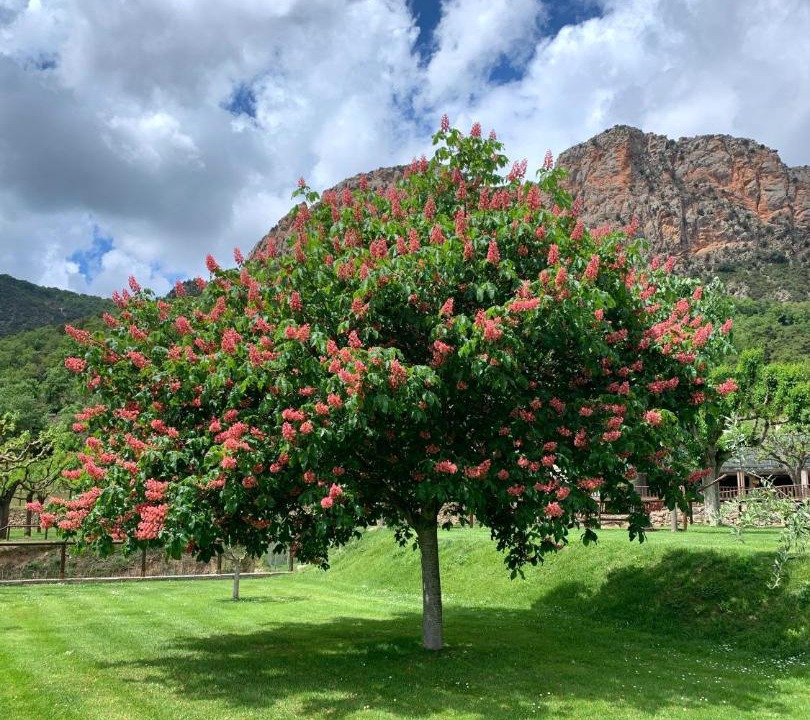 Photo of Outdoor in Peramola