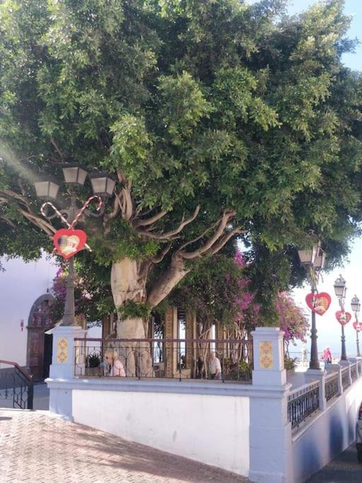 Photo of Others in Tazacorte