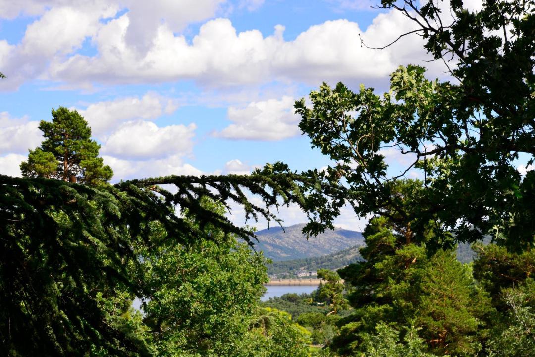 Photo of Others in Navacerrada