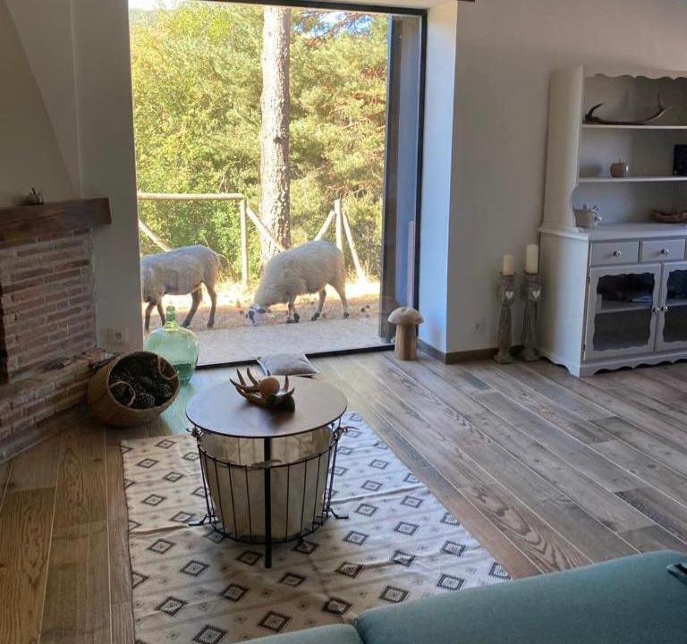 Photo of Livingroom in Pineda de la Sierra