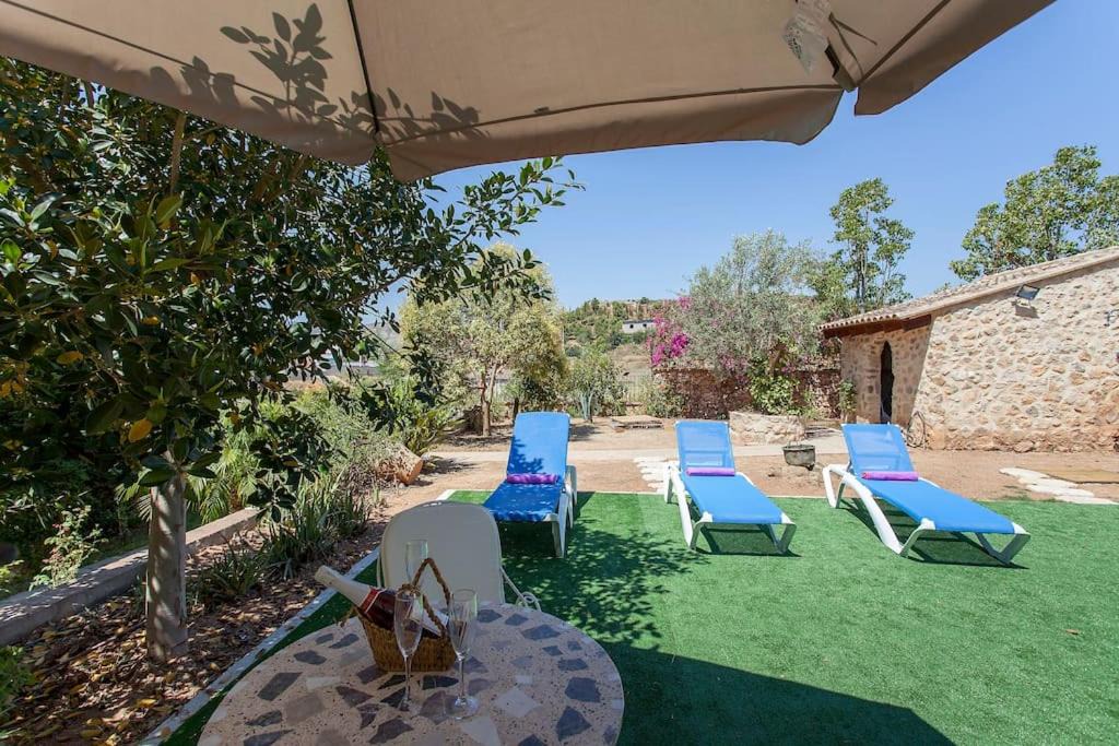 Photo of Patio Balcony in Pedralba