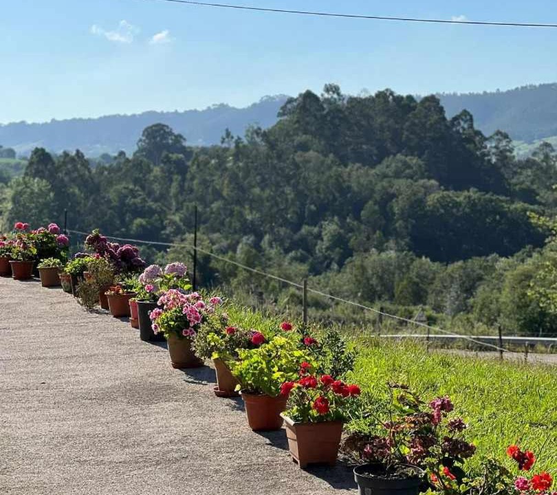 Photo of Outdoor in Noriega
