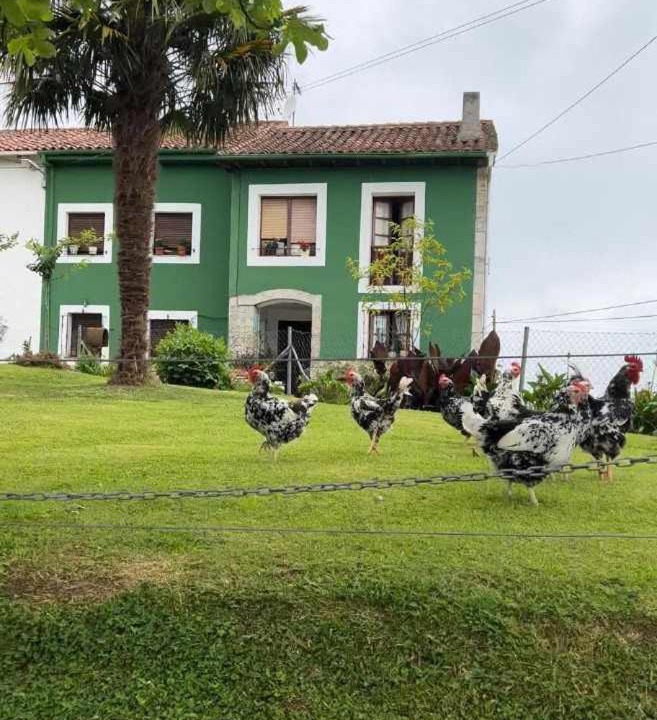 Photo of Buildings in Noriega