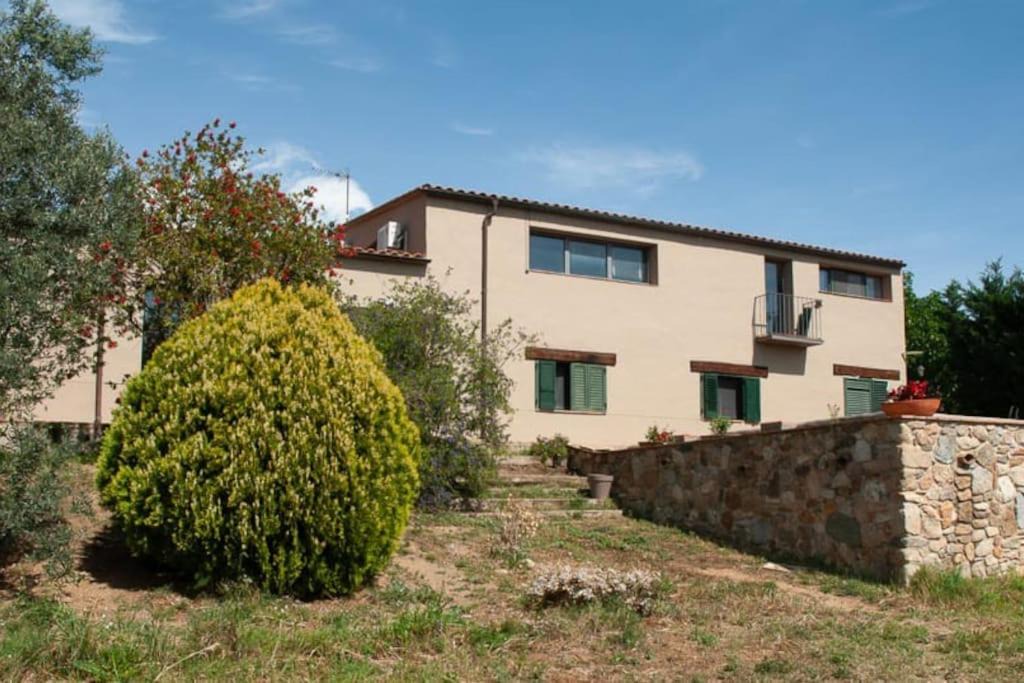 Photo of Buildings in Masarac