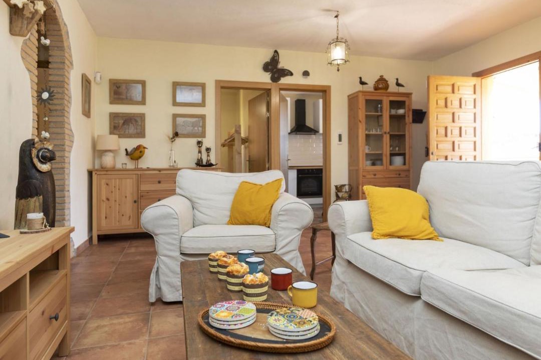 Photo of Livingroom in Sils